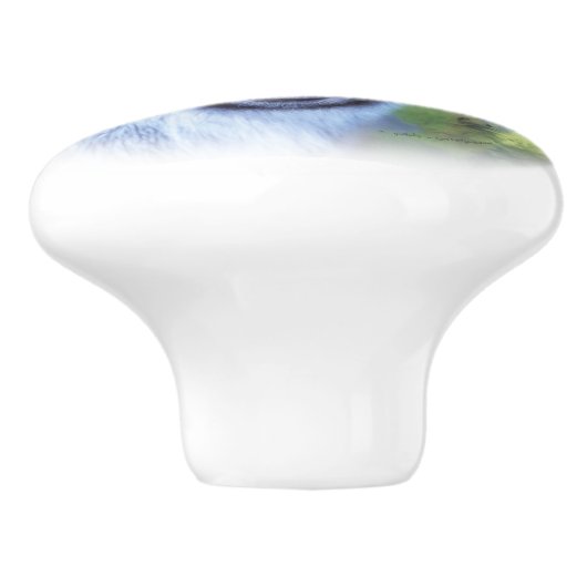 私の絵画ピグミーヤギのサバンナの セラミックノブ (側面)