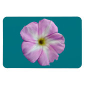 私の絵画愛らしい花は友情を損なう マグネット (横)