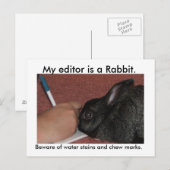 私の編集者はうさぎだ。 ポストカード (正面/裏面)