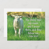 私の羊は私の声を聞く、ヨハネ10:27聖書の聖句 ポストカード (正面/裏面)