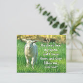 私の羊は私の声を聞く、ヨハネ10:27聖書の聖句 ポストカード (スタンド正面)