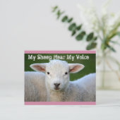 私の羊は私の声を聞く、ヨハネ10:27聖書の聖句 ポストカード (スタンド正面)