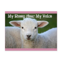 私の羊は私の声を聞く、ヨハネ10:27聖書の聖句