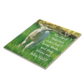 私の羊は私の声を聞く,聖書のヨハネ10:27 タイル (側面)