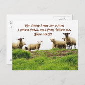 私の羊は私の声を聞く,聖書ヨハネ10:27,カスタム ポストカード (正面/裏面)