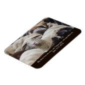 私の羊は、私の声、聖なる書物、 経典、羊の群れを聞く マグネット (左側)