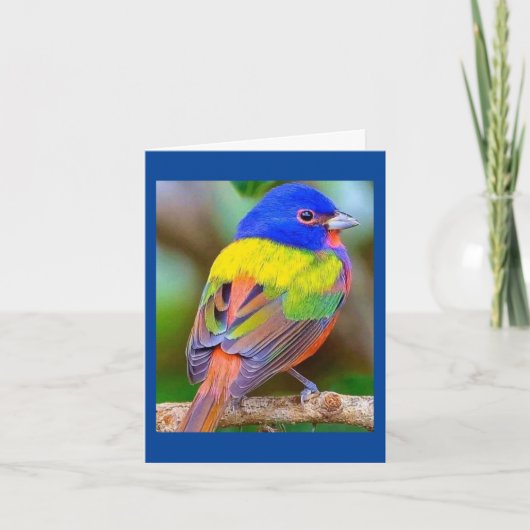 私の美しい双子のハッピーバースデーへ カード (正面)