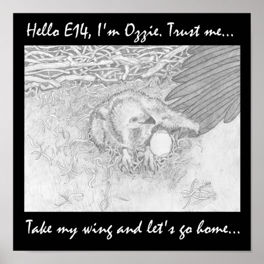 私の羽を持って野生動物を家に帰ろう救 ポスター (正面)