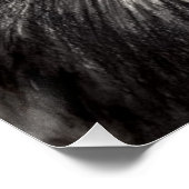 私の翼の下の風ライオンバタフライワイルドライフアート ポスター (コーナー)