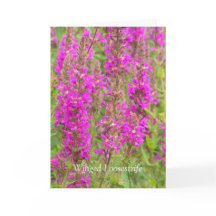 私の翼を広げて飛ぶ：おめでとう