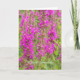 私の翼を広げて飛ぶ：おめでとう カード