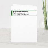 私の翼を広げて飛ぶ：おめでとう カード (裏面)