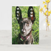 私の耳来は便利に…聞いたU R **13**カード カード (黄色い花)