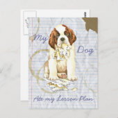 私の聖バーナード食べ私のレッスンプラン ポストカード (正面/裏面)