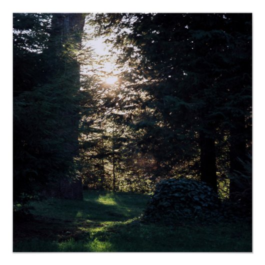 私の聖域クラマス，カリフォルニア….. ポスター (正面)