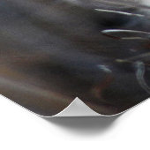 私の聞心拍にライオンはアフリカ ポスター (角)