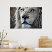 私の聞心拍にライオンはアフリカ ポスター (キッチン)