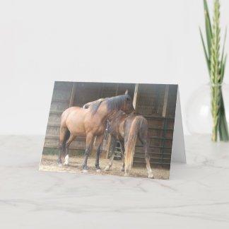 私の背中を掻く…...... サンキューカード