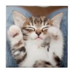 私の膝の上の子猫 タイル<br><div class="desc">膝の上の子猫</div>