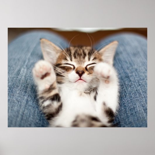 私の膝の上の子猫 ポスター (正面)