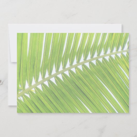 私の花の女の子のビーチ結婚式シーシェル 招待状 (裏面)