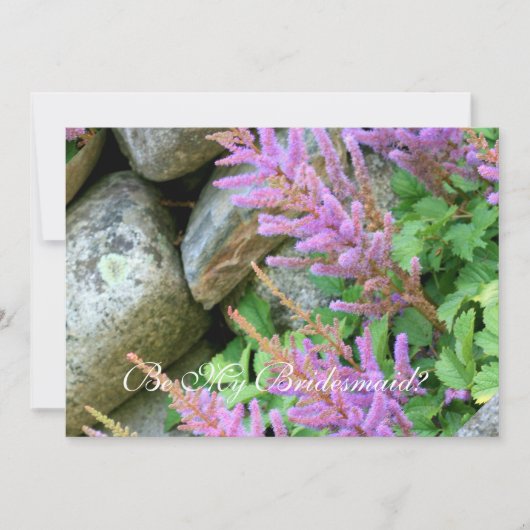 私の花嫁の側にアスチルベの花を 招待状 (正面)