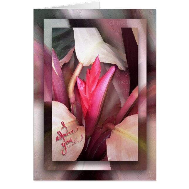 私の英雄 (正面)