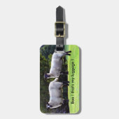 私の荷物を見つけた。 ラゲッジタグ (正面縦)