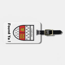 私の荷物を見パーソナライズされたつけるCarlow郡IDラベル。 ラゲッジタグ