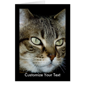 私の虎猫カード