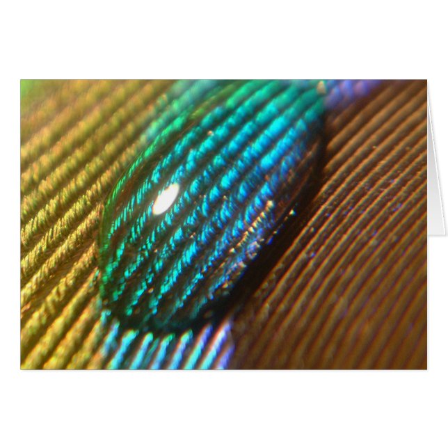 私の虹です (正面横)