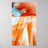 私の視線は君に_ポスター ポスター (正面)