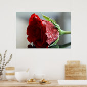 私の誕生日バラ ポスター (キッチン)