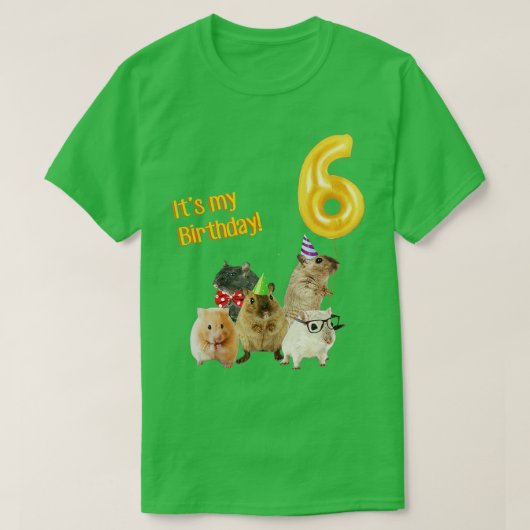 私の誕生日6番目のかわいいハムスター Tシャツ (デザイン正面)