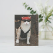 私の豚はどこだ? ポストカード (スタンド正面)