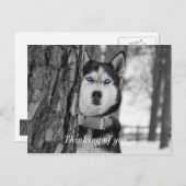 私の赤ん坊の青い目の考えあなたのはがき ポストカード (正面/裏面)