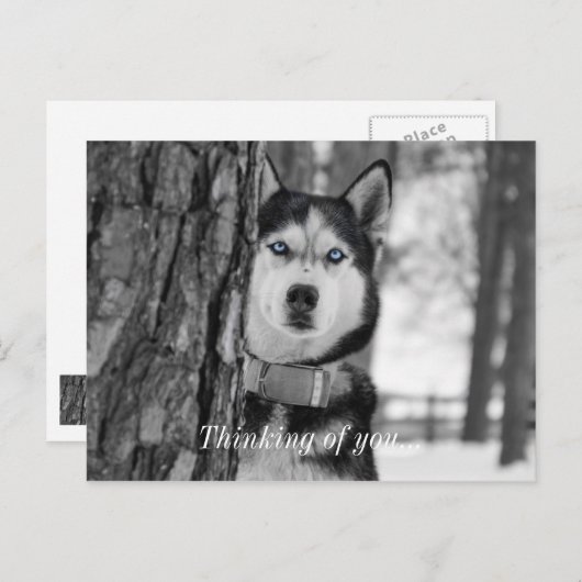 私の赤ん坊の青い目の考えあなたのはがき ポストカード (正面/裏面)