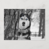 私の赤ん坊の青い目の考えあなたのはがき ポストカード (正面)