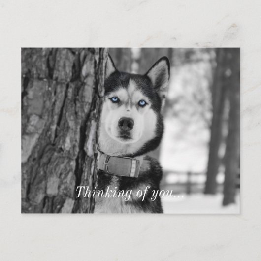 私の赤ん坊の青い目の考えあなたのはがき ポストカード (正面)