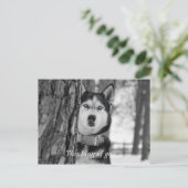 私の赤ん坊の青い目の考えあなたのはがき ポストカード (スタンド正面)