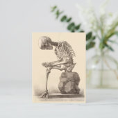 私の足は私を殺しています ポストカード (スタンド正面)