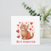 私の近くでメインのクーンキャットレスキューを探索する シーズンカード (スタンド正面)