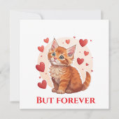 私の近くでメインのクーンキャットレスキューを探索する シーズンカード (正面)