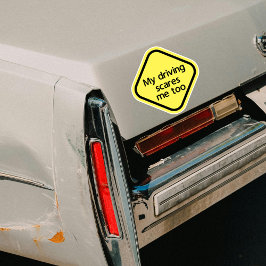 私の運転も怖いおもしろい シール