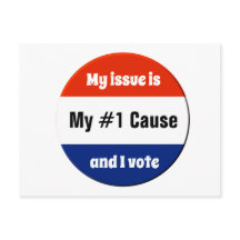 私の選挙投票者