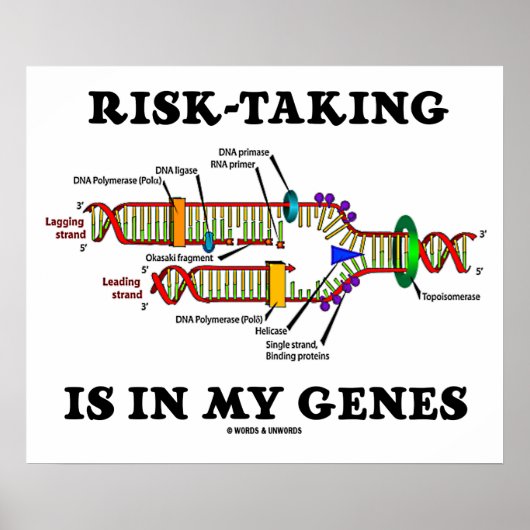 私の遺伝子の中でリスクテイクがDNA複製ユーモア ポスター (正面)