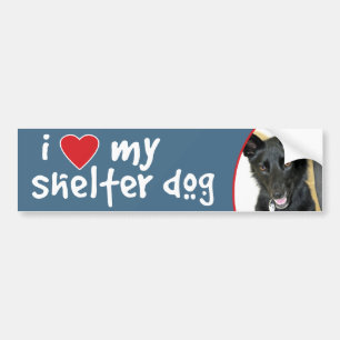 私の避難所犬のベルギー人の牧羊犬を愛して下さい バンパーステッカー