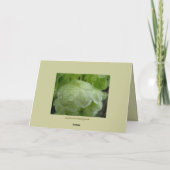 私の重要なカードに立てないで下さい カード (裏面)