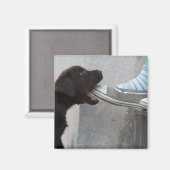 私の靴を食べちゃえ! ラブラドール子犬 マグネット (正面/裏面)