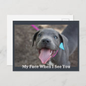 私の顔があなたのかわいい子犬はがきを見る ポストカード (正面/裏面)